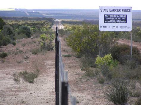 Rabbit-proof fence - Wikipedia