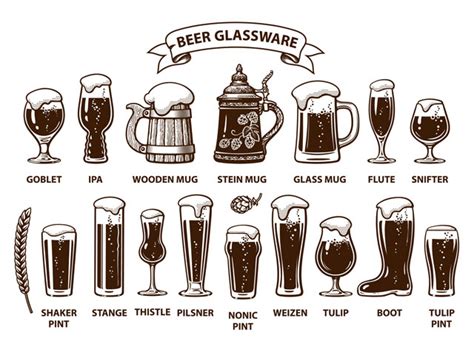 Types of Beer Glasses, Mugs, Pints, Steins & More