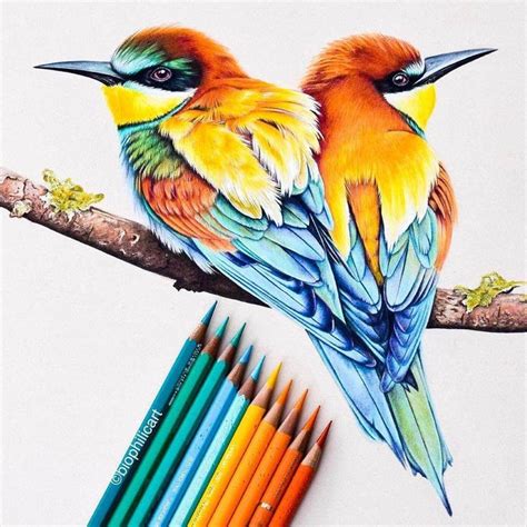 Realistic Animal Pencil Drawings | Realistic animal drawings, Color ...