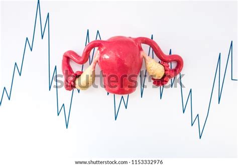 449 Uterine Contractions Images, Stock Photos & Vectors | Shutterstock