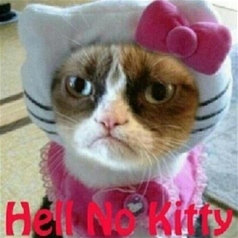 a grumpy cat, hello kitty - Dump A Day