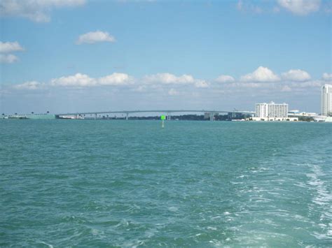 Clearwater Bridge from sea life safari boat