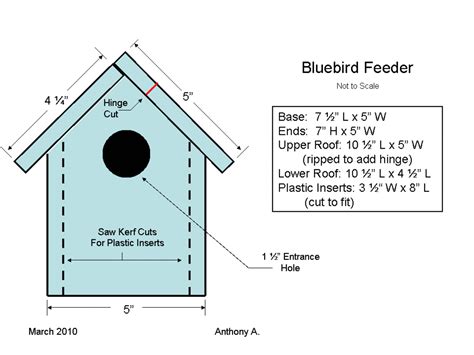 Bluebird Feeder Plans: How to Make a Bluebird Feeder | FeltMagnet