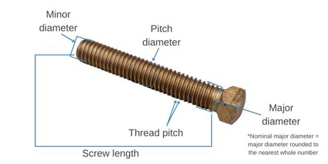 Anatomy of a Screw: Parts, Materials & More - Wilson-Garner