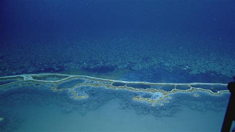 Brine Pool: An Underwater Lake | Nautilus Live