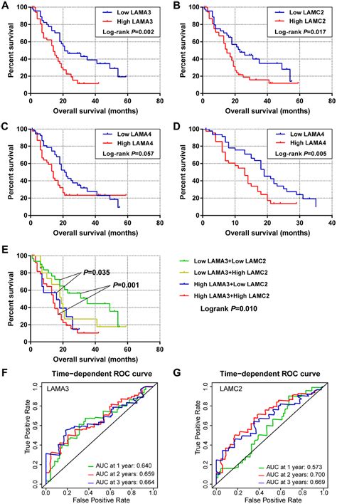 Evaluation of the diagnostic ability of laminin gene family for ...