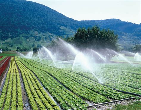 Irrigation in Rajasthan: Area, Sources, Types, Potential - RajRAS | RAS ...