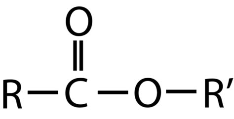 25.13: Esters - Chemistry LibreTexts