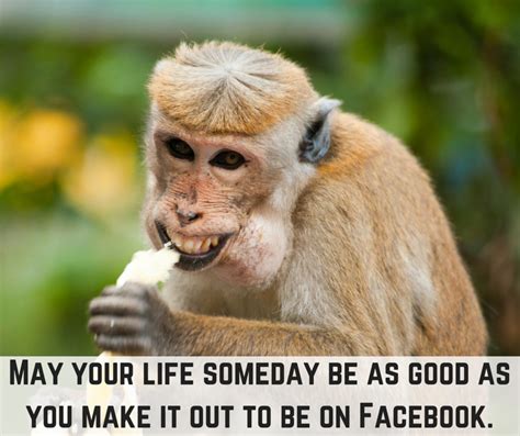 Very Funny Jokes For Facebook Status