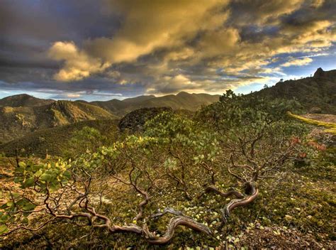 Pinnacles National Park: The Complete Guide