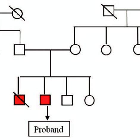 (PDF) Aarskog-Scott Syndrome.