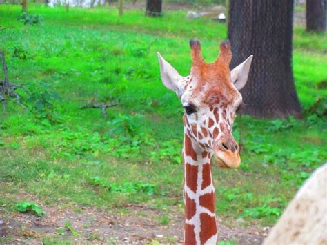 Talk To The Animals at Omaha's Henry Doorly Zoo - Our Changing Lives