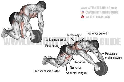 Wheel rollout exercise instructions and video | Weight Training guide