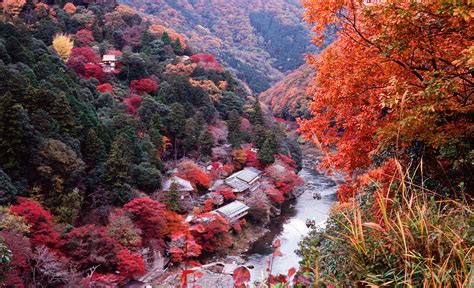 Entranced by the Autumn Colors of Kyoto