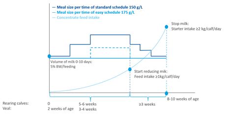 How to choose your feeding schedule of calf milk replacer? - Denkavit