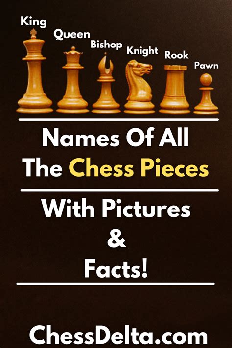 Pin on Chess Basics | How To Play Chess