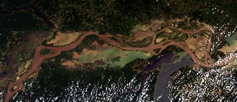 Satellite image of the Amazon River and of its floodplain. The ...