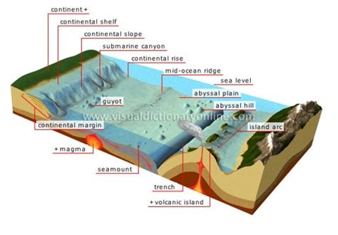 35+ Ocean Basin Diagram - NitinKhatija