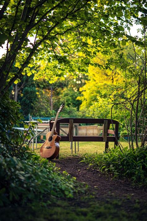 Bench with Guitar in a Garden Stock Photo - Image of acoustic, sitting ...