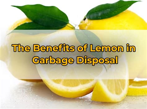 Lemon in Garbage Disposal (Benefits & How to Clean) - PuNk PrOjEcT