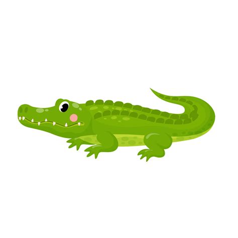 Vector illustration of cute alligator isolated crocodile in cartoon ...