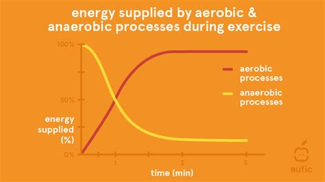 The difference between aerobic and anaerobic exercise (2023)