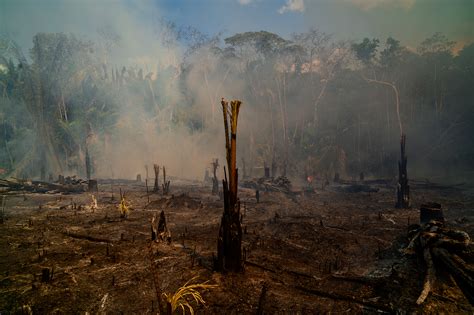 See Photos of the Amazon Rainforest Fires in Brazil | Time