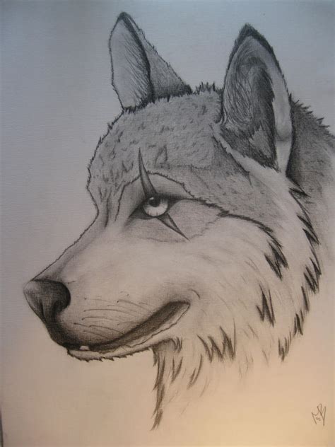 Cool Wolf Drawings | Popular Photography