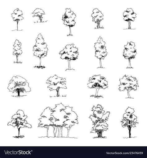 Set of hand drawn architect trees. Vector sketch. Architectural ...