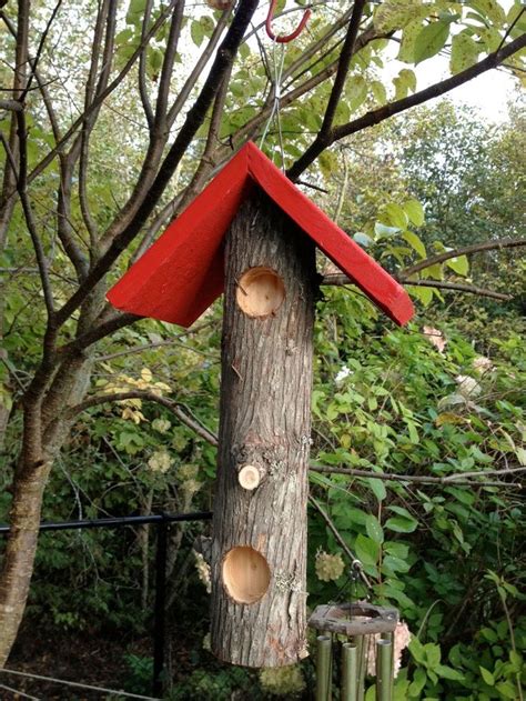 Pin by Andrea McCormick on Birds | Pinterest Bird Feeder Poles, Suet ...