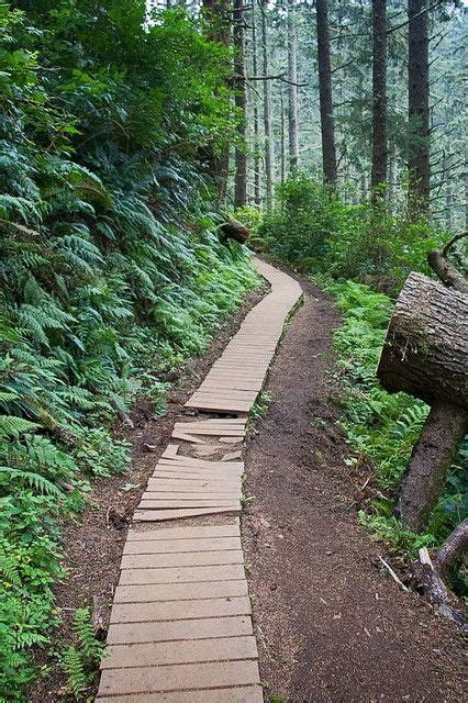 Cape Lookout Trail | Oregon road trip, Oregon vacation, Oregon travel