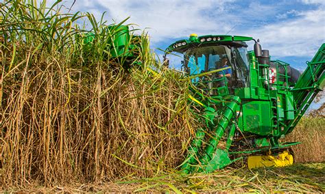 Video Gallery: The Efficient John Deere CH570 Sugar Cane Harvester