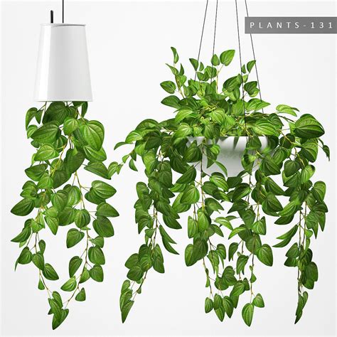 Hanging plants 131 3D model | CGTrader