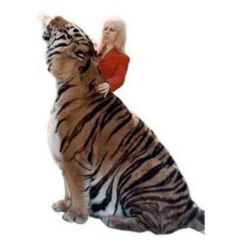 Siberian tiger – the largest tiger | DinoAnimals.com