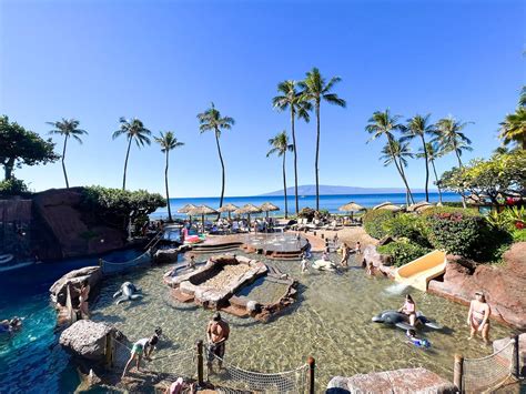 Discover Paradise: The Best Places to Stay in Maui - Sevenedges