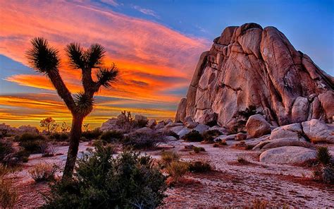 Joshua Tree National Park Wallpapers - Wallpaper Cave