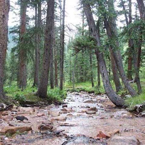 Thunder Ridge Campground, Pike, CO: