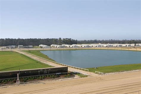 Delta Downs Horse Racing Photos - DeltaDownsRacing.com | Racing photos ...