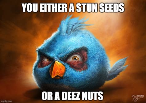 angry birds Memes & GIFs - Imgflip