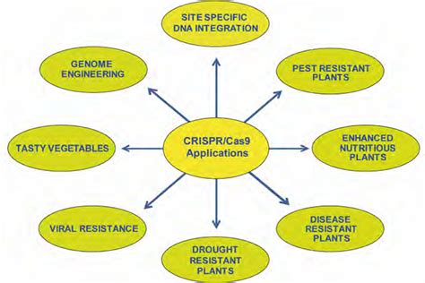 Crispr Cas9 Agriculture