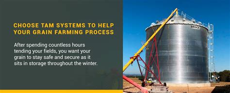 The Grain Farming Process Step by Step | TAM Systems