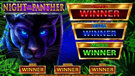 Night of the Panther on Behance