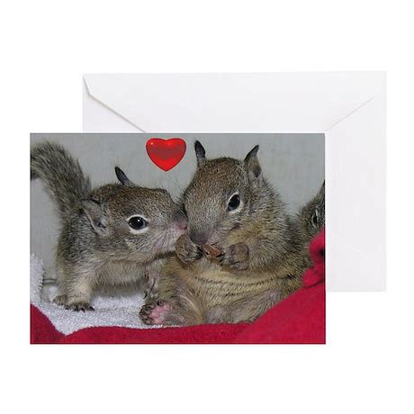 Kissing Squirrel Valentine's Card by Coast_and_Canyon