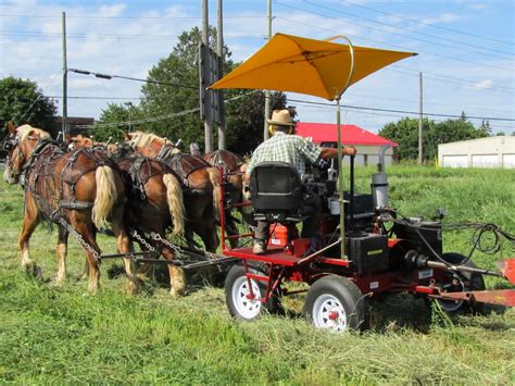 Kim Hadwen: Pioneer Horse Equipment