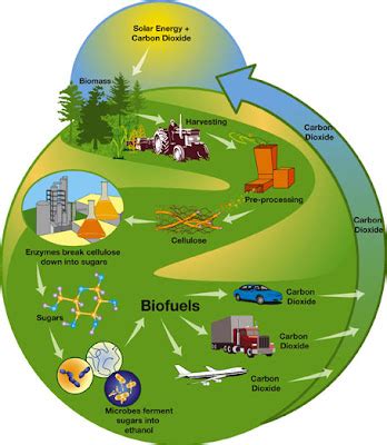 Interesting energy facts: Biokerosene to be used in aviation