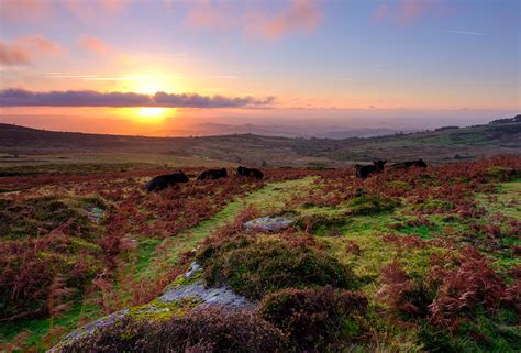 4 Dartmoor Walks We Love - Helpful Holidays