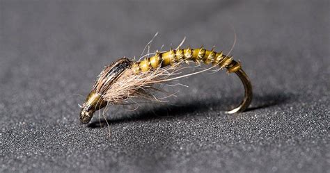 Rodtrip - SP Caddis Nymph Photo by Mathias Briquemont : http://www ...