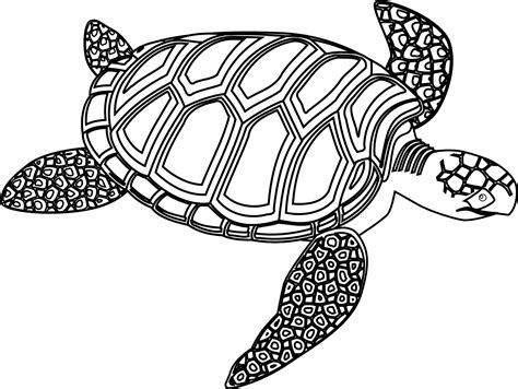 Sea Turtle Clipart Black And White Free - Turtle Black And White ...