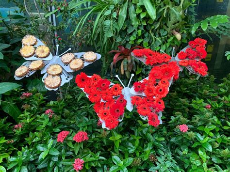 Visiting The Butterfly Garden At Changi International Airport (SIN ...