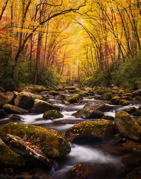 Under the Fall Cathedral | Great Smoky Mountains National Park ...